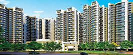 amrapali-terrace homes